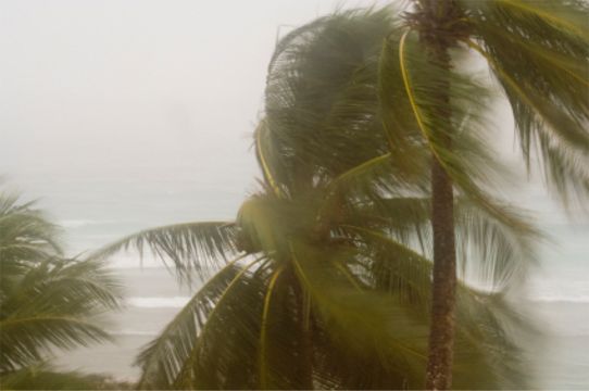 Storm Damage - Pelican Bay Remodeling, Naples Florida